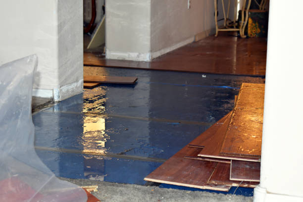 Professional Sewage Cleanup technician working in Princeton, IL